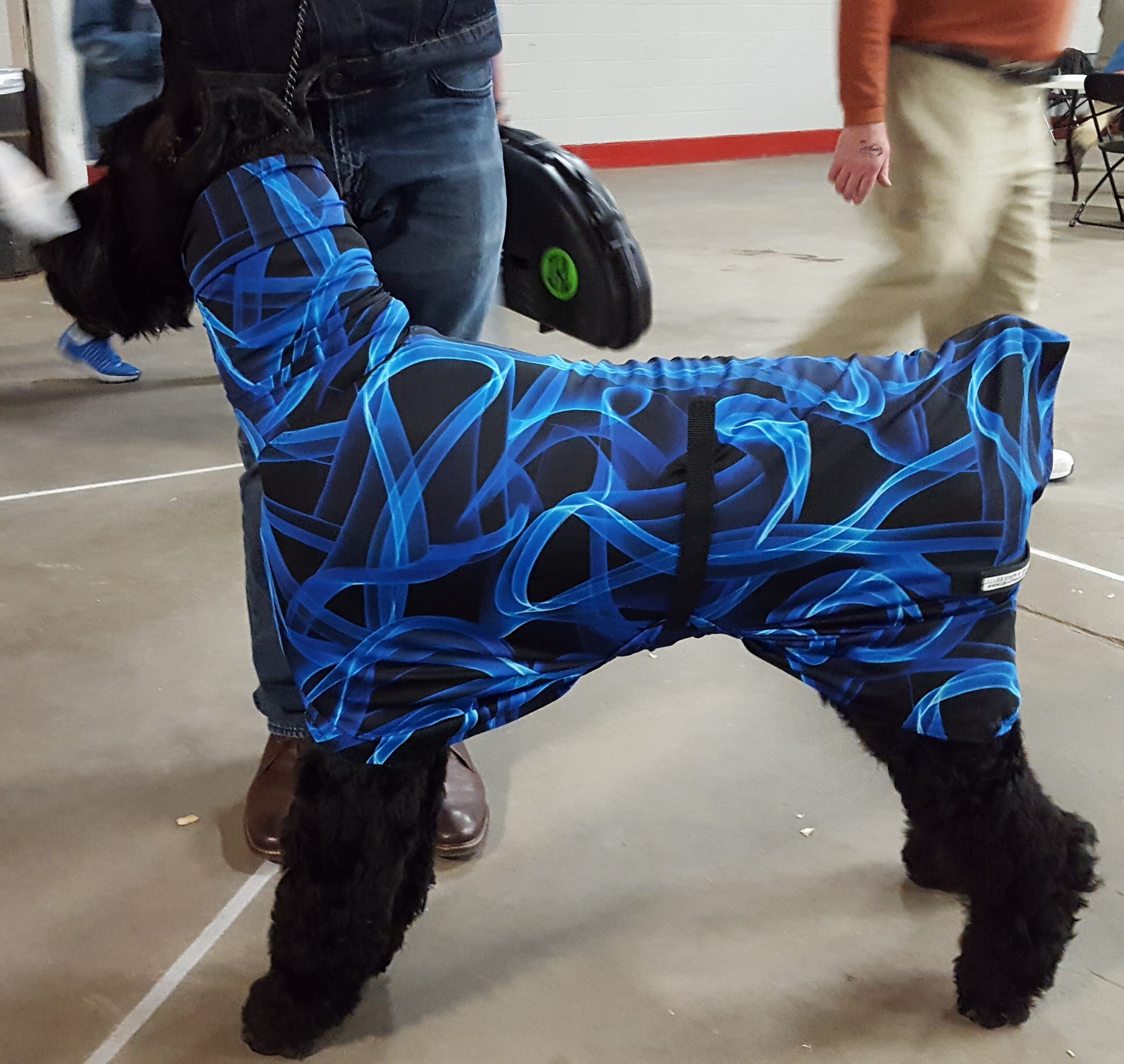 A dog wearing a blue and black patterned outfit indoors.
