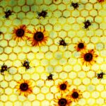 Bees and sunflowers on honeycomb pattern.