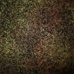 Speckled dark texture with light yellow spots.