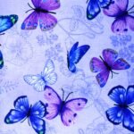 Colorful butterflies on a floral-patterned background.