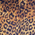 Leopard print fabric texture close-up.