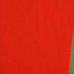 Red fabric with green background.