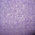 Purple textured fabric with subtle floral pattern.