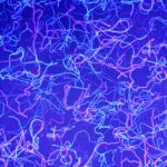 Colorful abstract lines on a purple background.