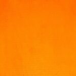 Bright orange textured background.